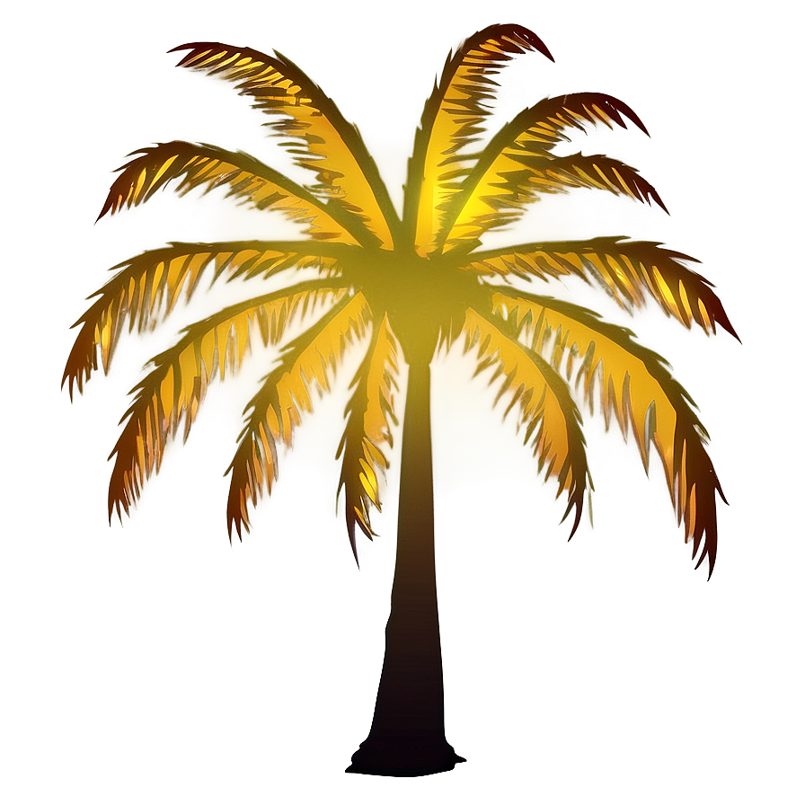 Palm Tree Night Silhouette Png 06262024