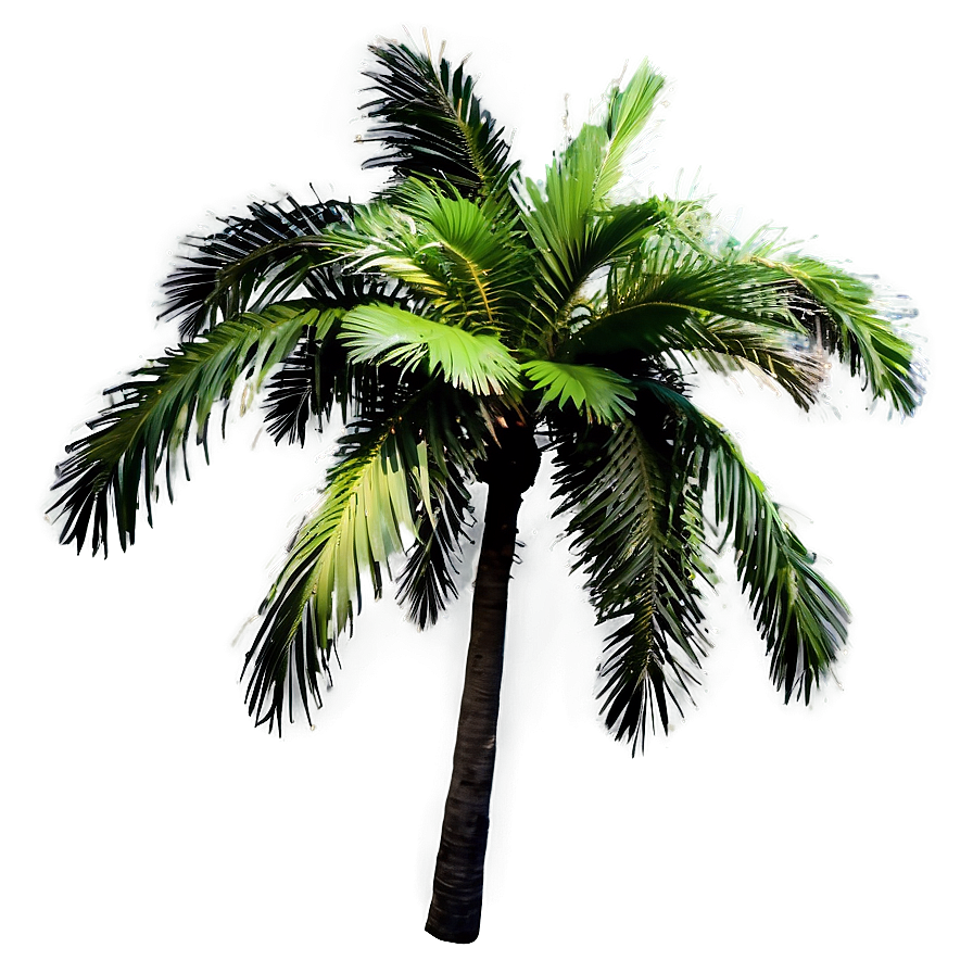 Palm Tree Oasis Png 04292024