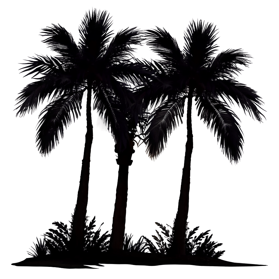 Palm Tree Sunset Silhouette Png Rpg