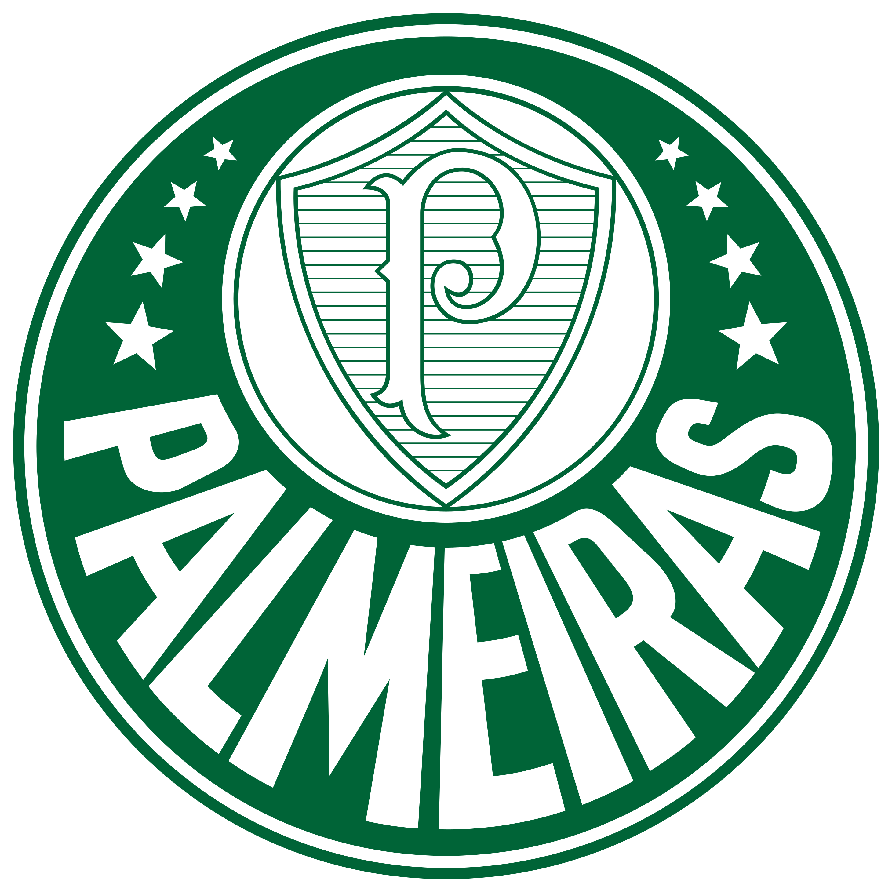 Palmeiras Football Club Logo