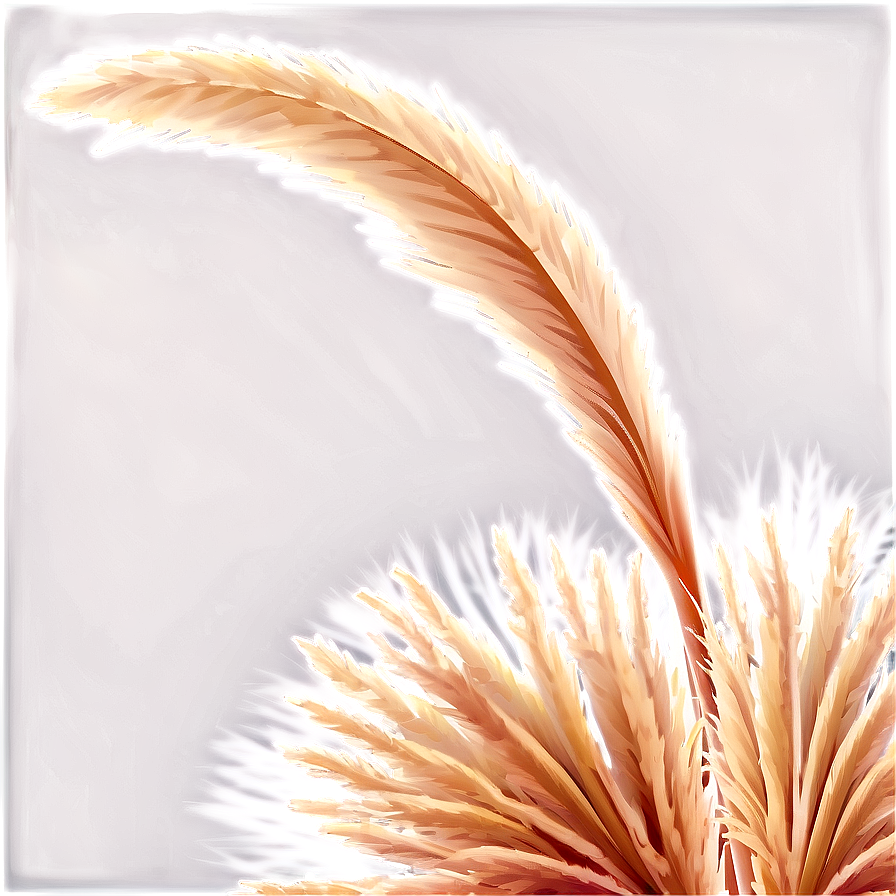 Pampas Grass Crown Png Kdt18