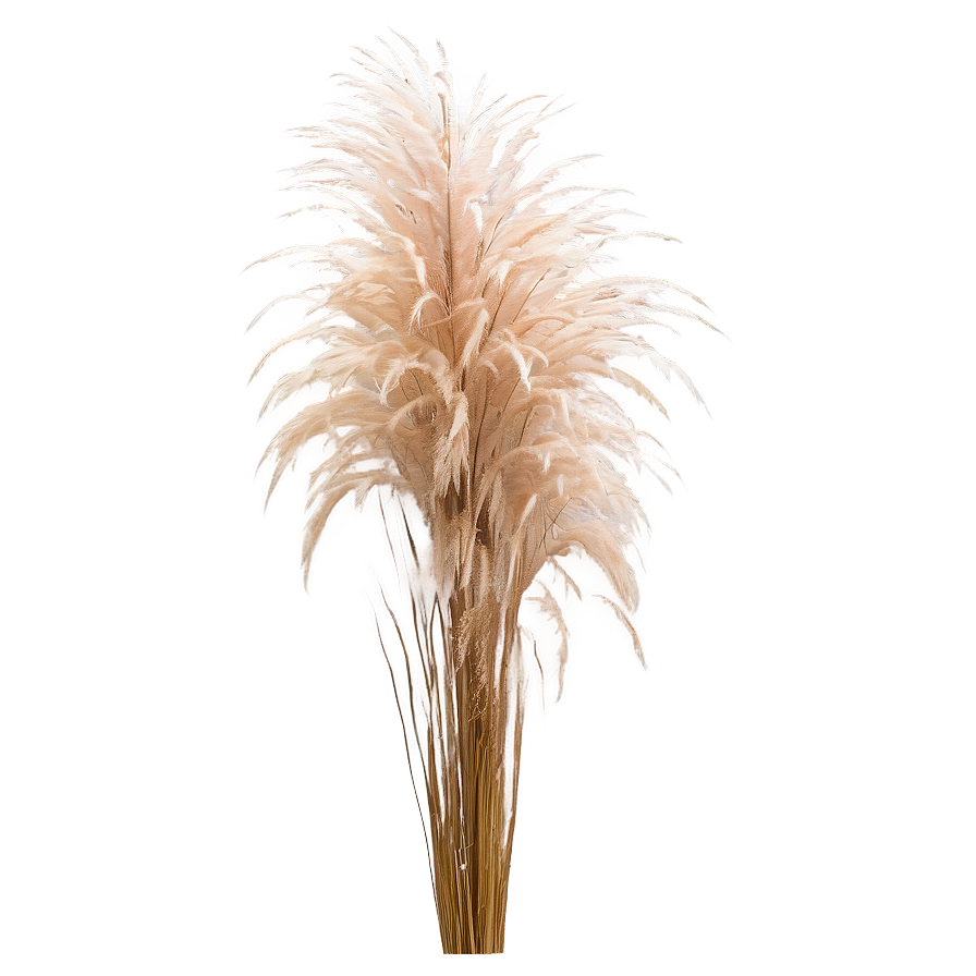 Pampas Grass In Wind Png 39