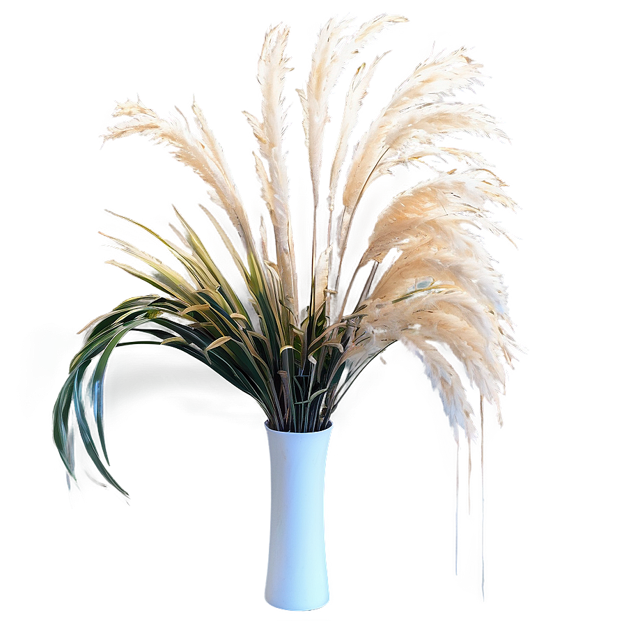 Pampas Grass Interior Png 90