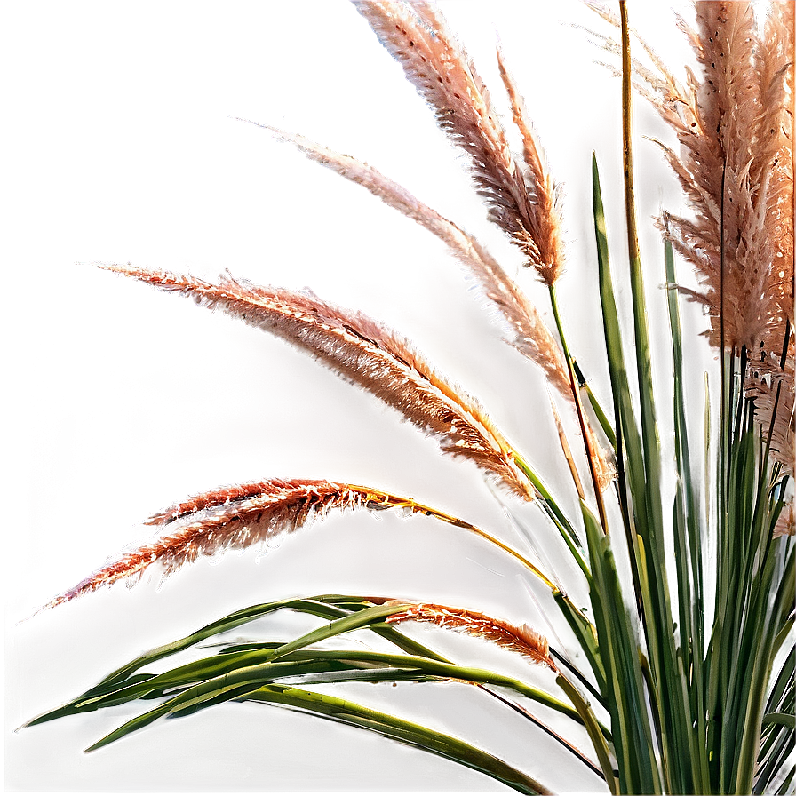 Pampas Grass Scene Png Lcb15