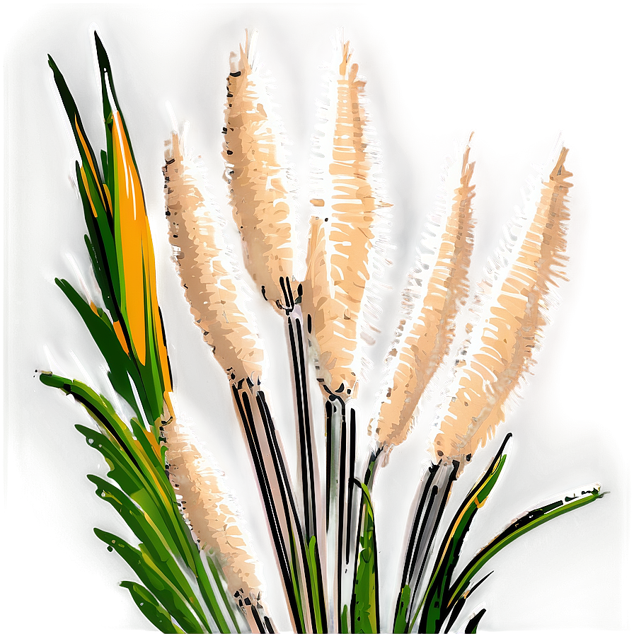 Pampas Grass Sketch Png Yfb