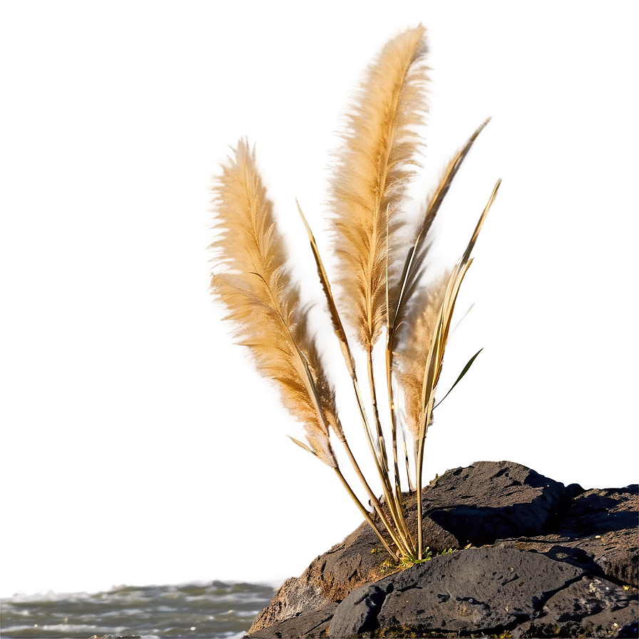 Pampas On Cliff Png 06272024