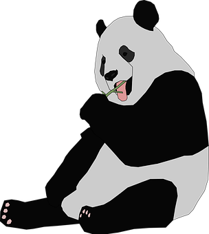 Panda Eating Bamboo