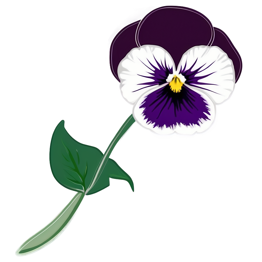 Pansy Flower Drawing Png Dfq27