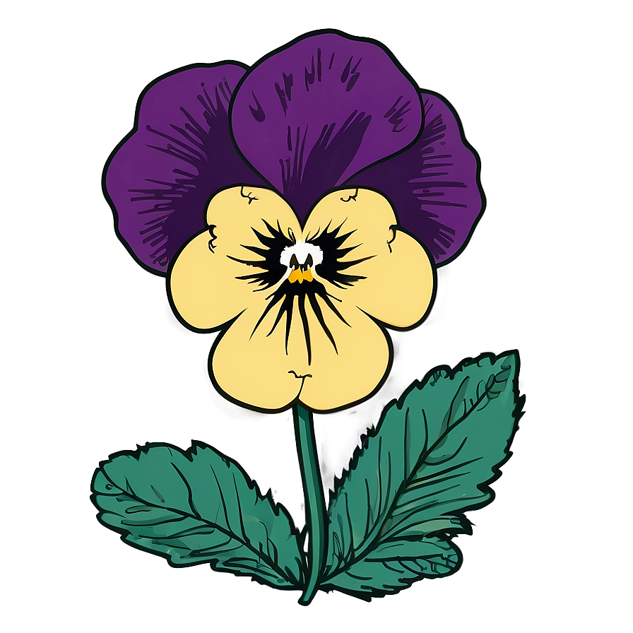 Pansy Sketch Png 06232024