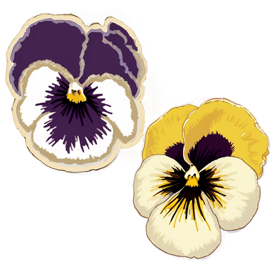 Pansy Sketch Png Har