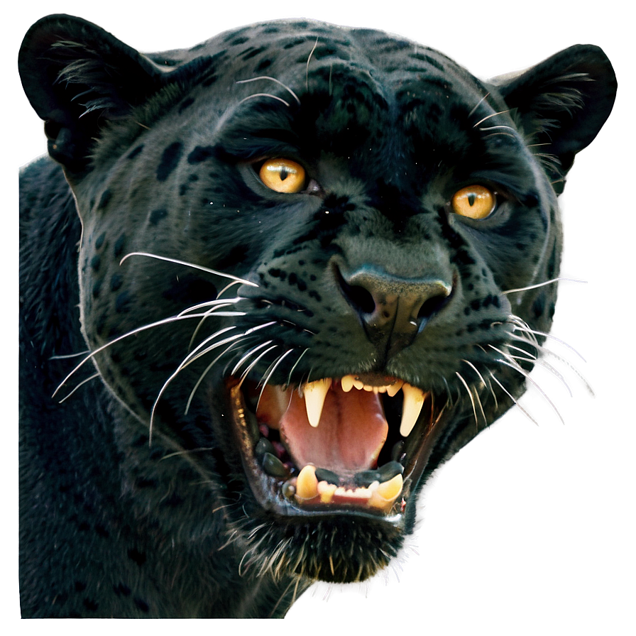 Panther Face Close-up Png Jli