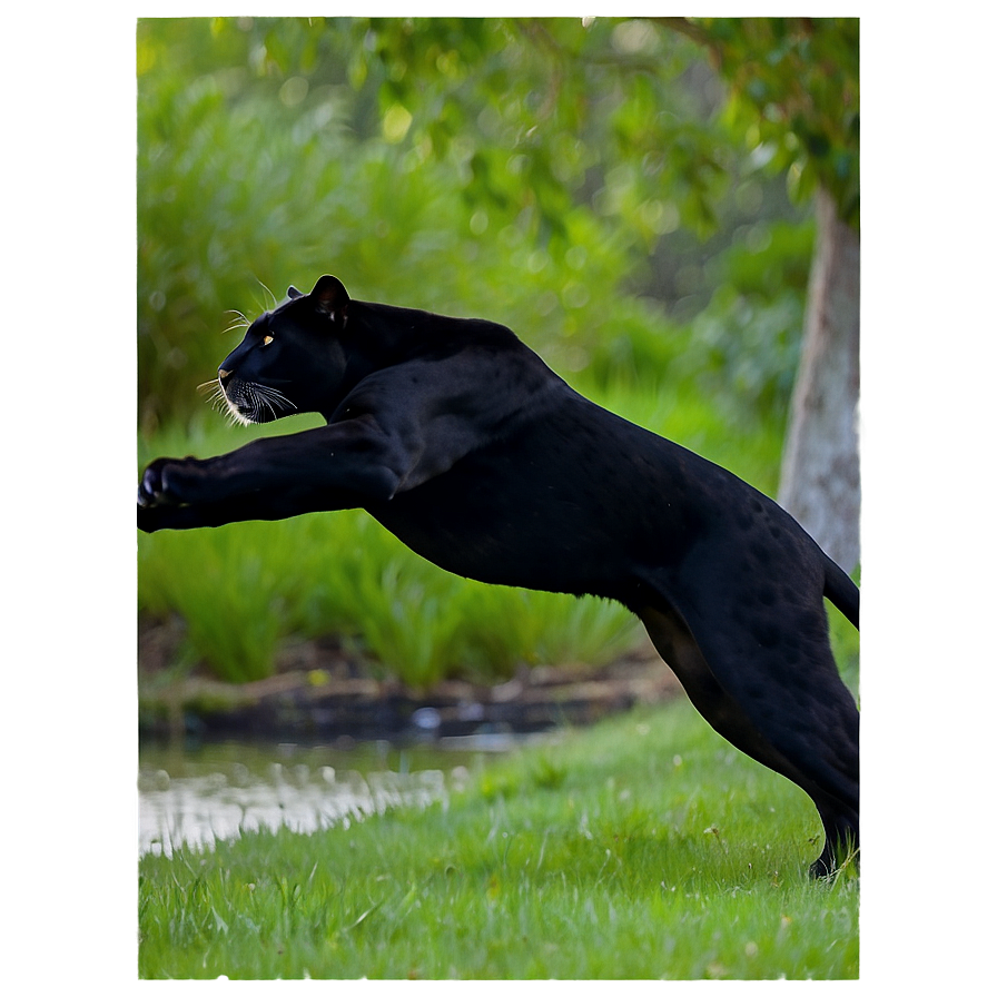 Panther In Action Png 6