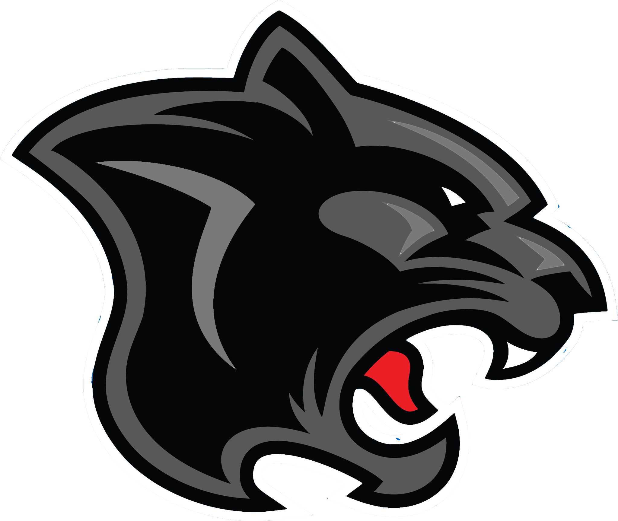 Panthers Team Logo