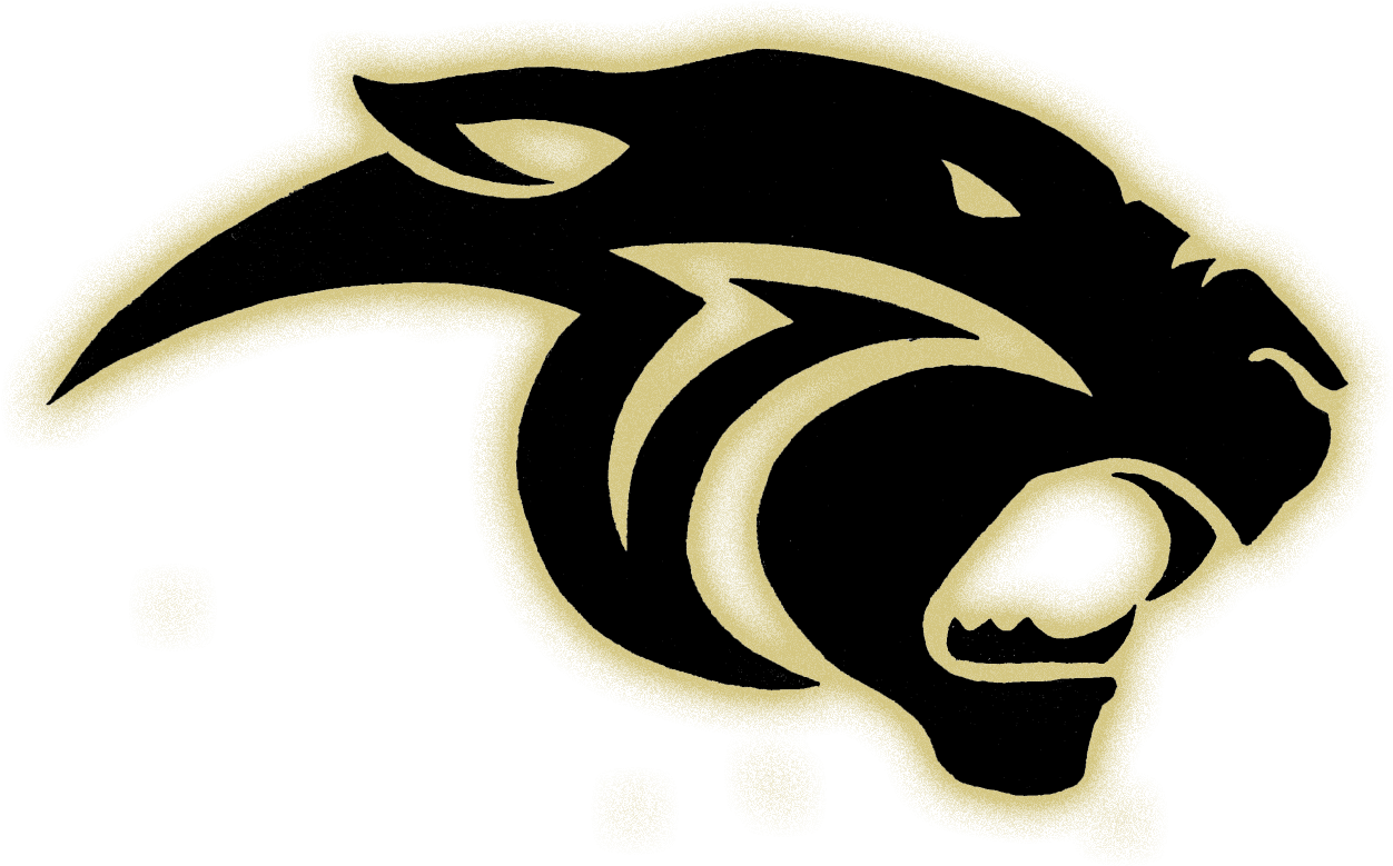 Panthers Team Logo