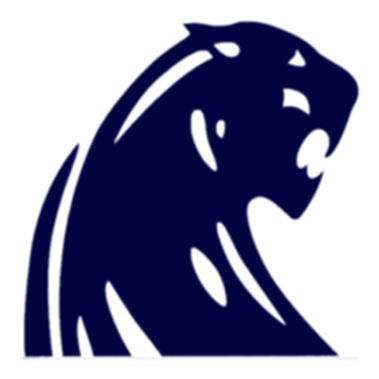 Panthers Team Logo