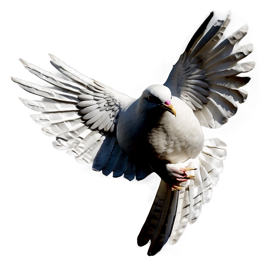 Paper Dove Png Rtr