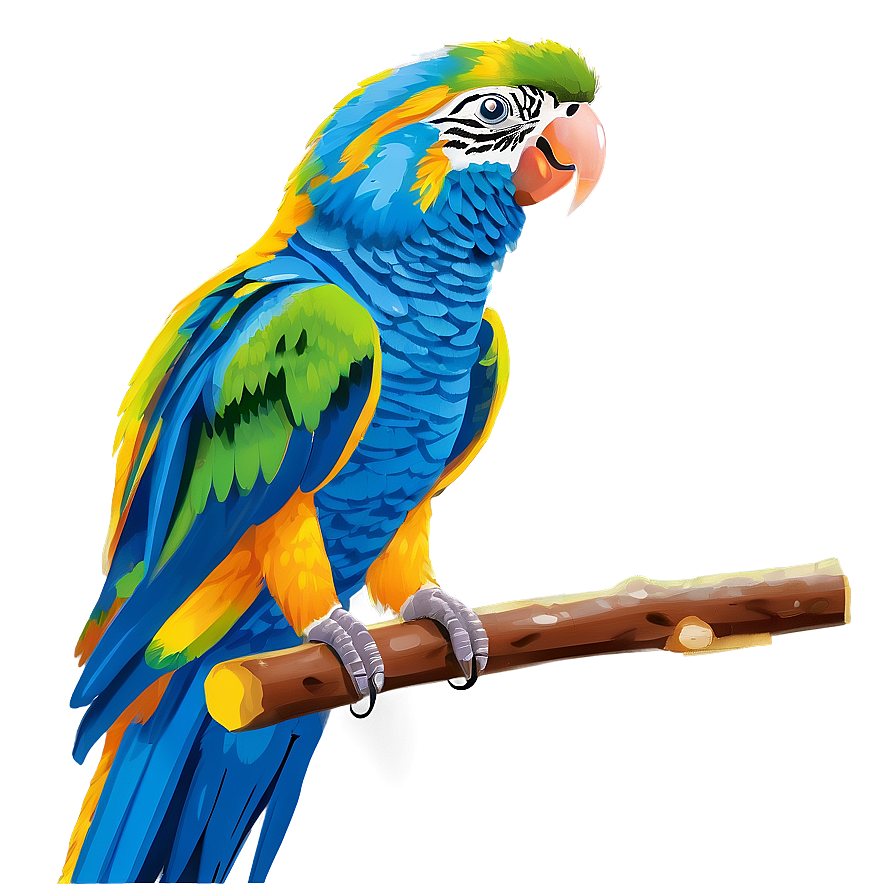 Parrot With Fruit Png Xgb