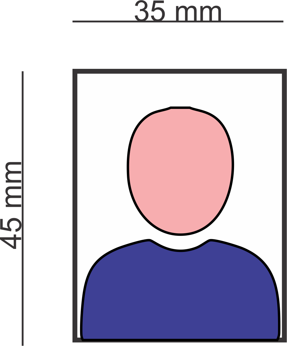 Passport Photo Dimensions Illustration