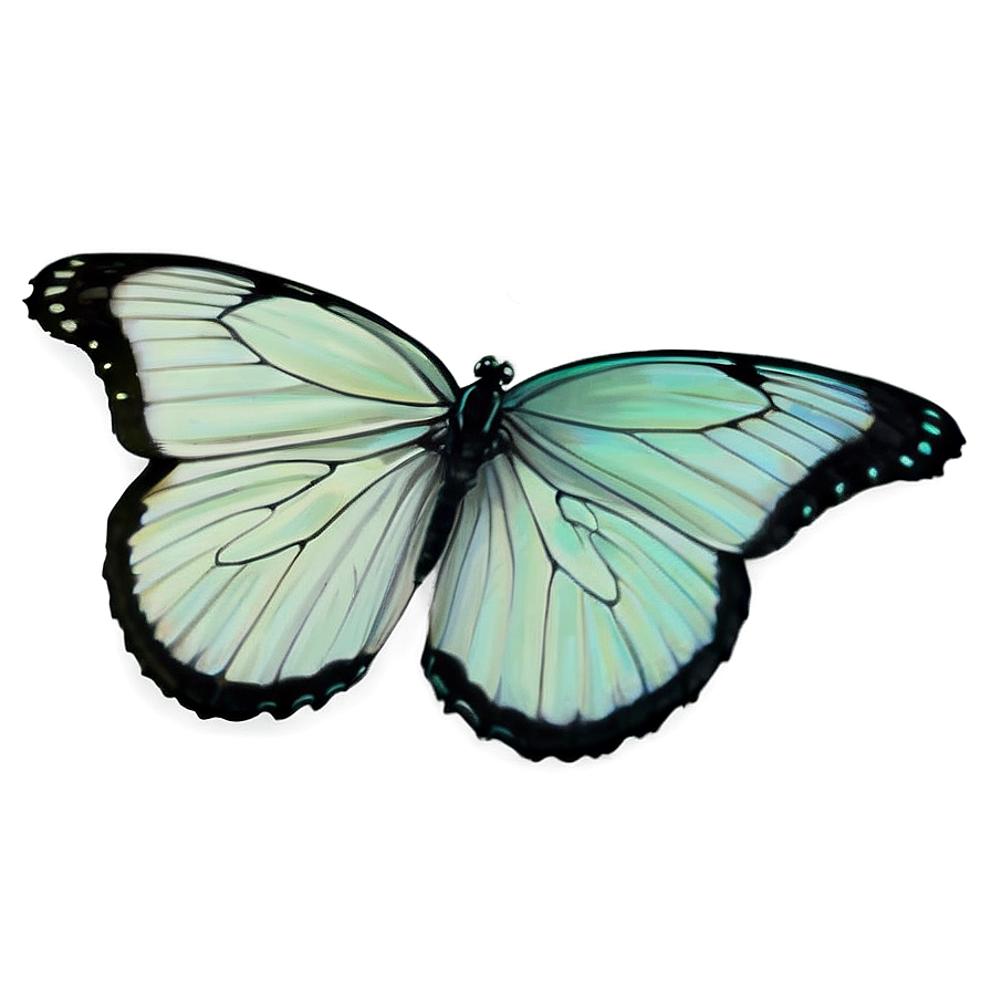 Pastel Green Butterfly Png 06202024