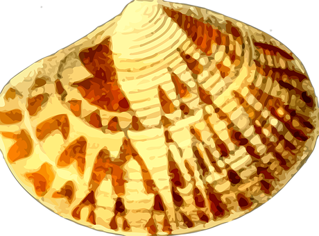 Patterned Seashell Artistic Rendering