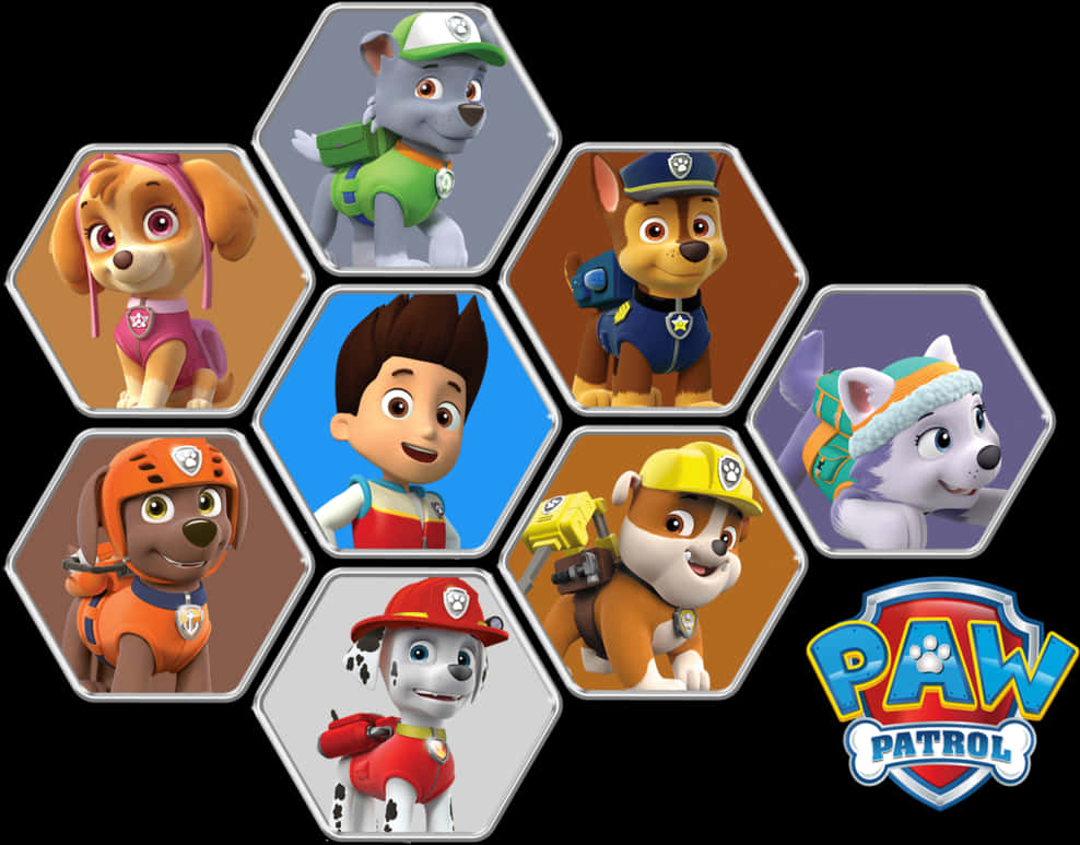 Paw Patrol Characters Collage