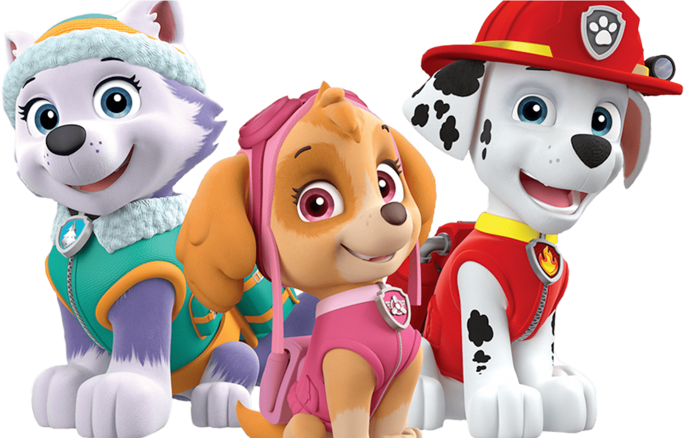 Paw Patrol Characters Everest Skye Marshall