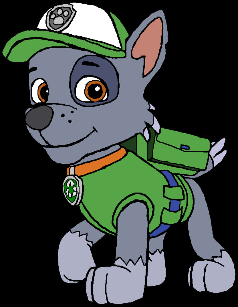 Paw Patrol Rocky Character Illustration