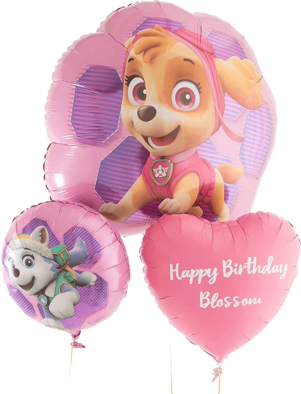 Paw Patrol Skye Birthday Balloons