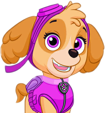 Paw Patrol Skye Character