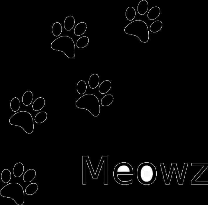 Paw Printsand Meow Graphic