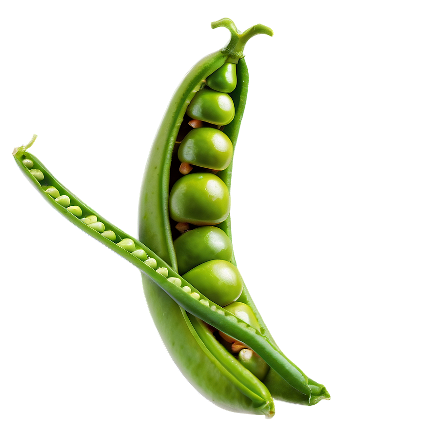 Pea Pods Png Jmr61