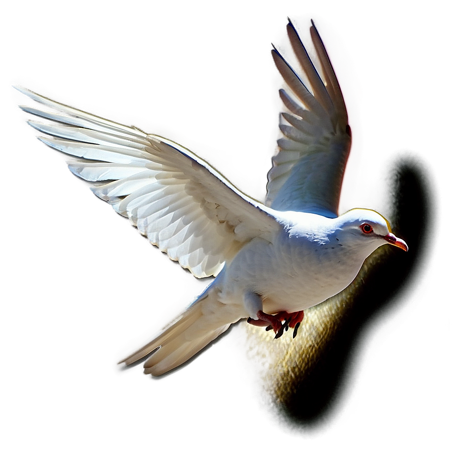 Peace Dove Png 05042024