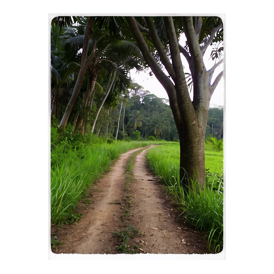 Peaceful Countryside Trail Png 7