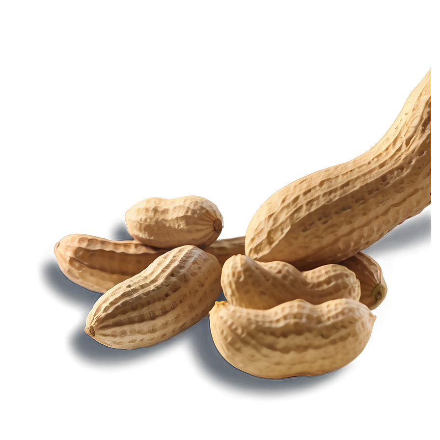 Peanut Harvest Scene Png 79