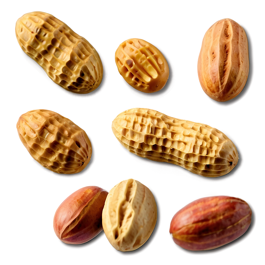 Peanut Png Ovb56