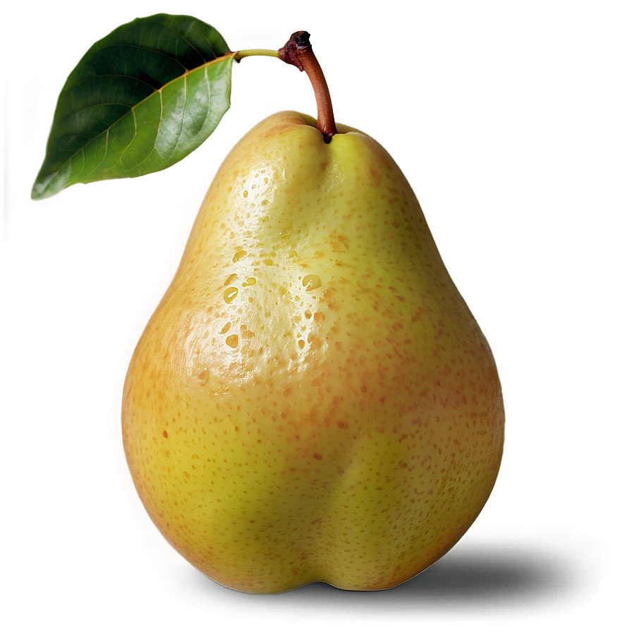 Pear Closeup Png 06122024