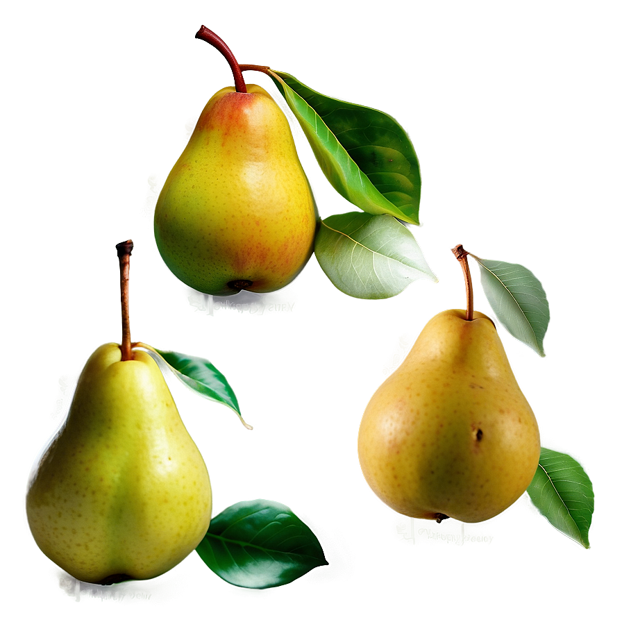 Pear Composition Png Nsb