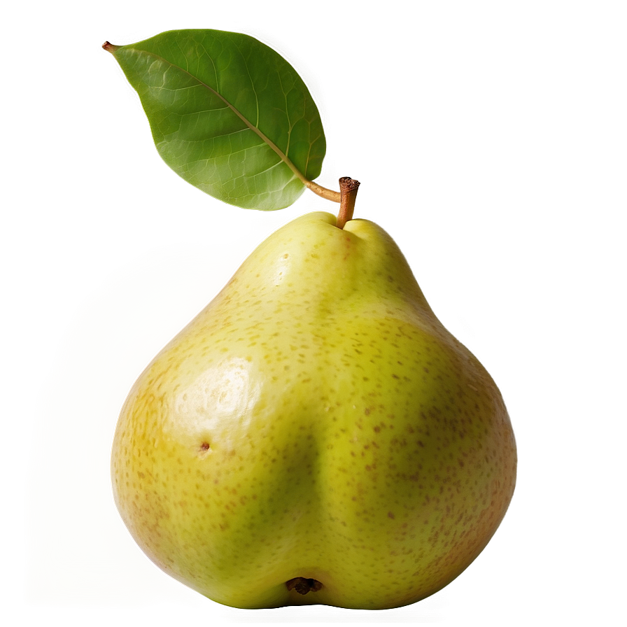 Pear D