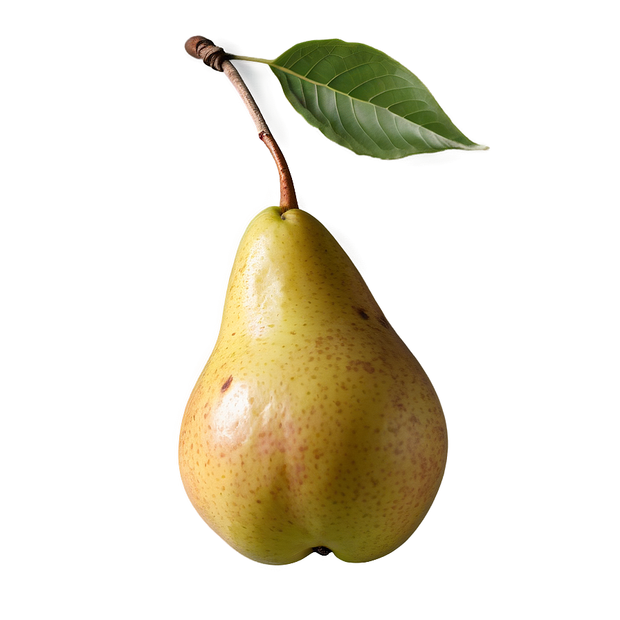 Pear Pack Png Orh