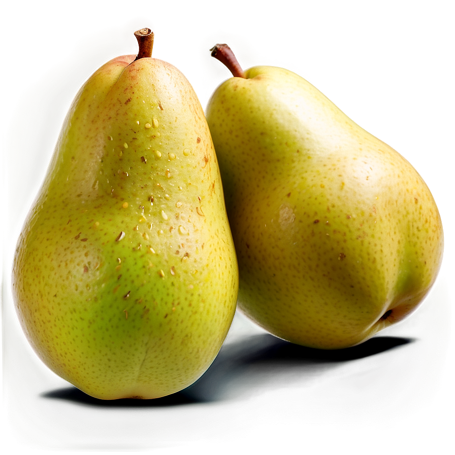 Pear Seed Png 06122024