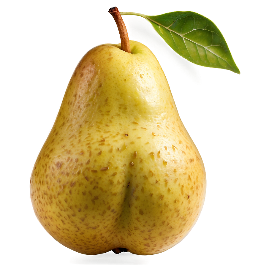 Pear Seed Png Lbj