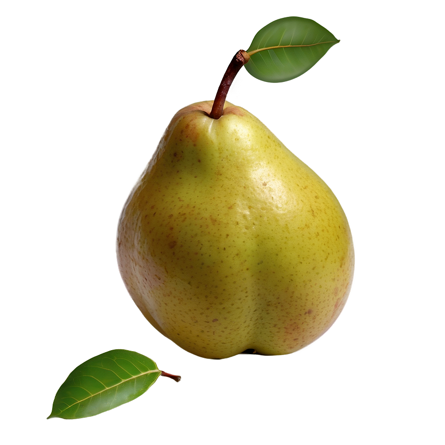 Pear Top View Png 73