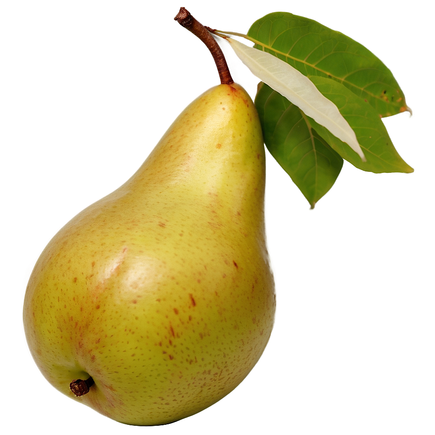 Pear Top View Png Wob93