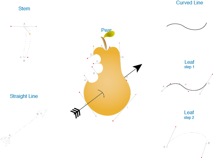 Pear Vector Diagram