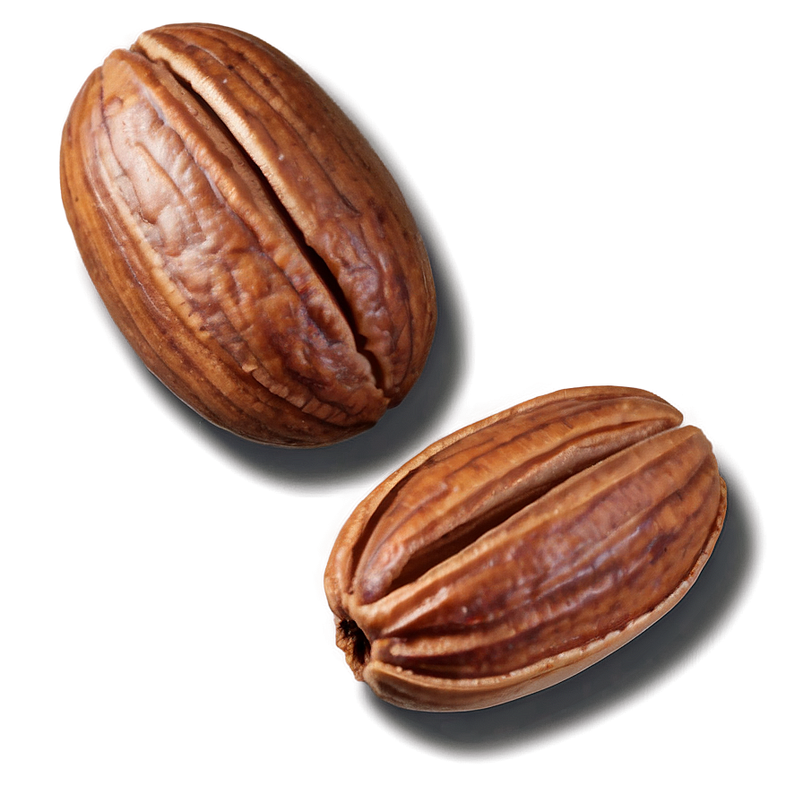 Pecan Nut Png 06122024