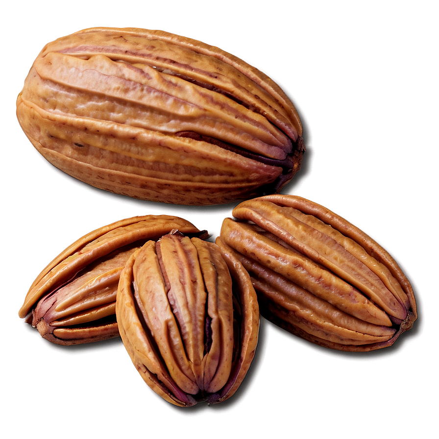 Pecan Nut Png Frm