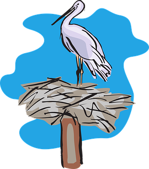 Pelican_ Perched_on_ Nest_ Vector