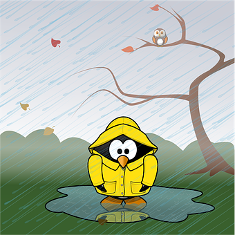 Penguinin Raincoat Rainy Day