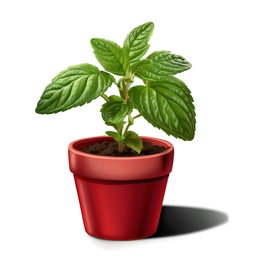 Peppermint Plant Pot Png 15