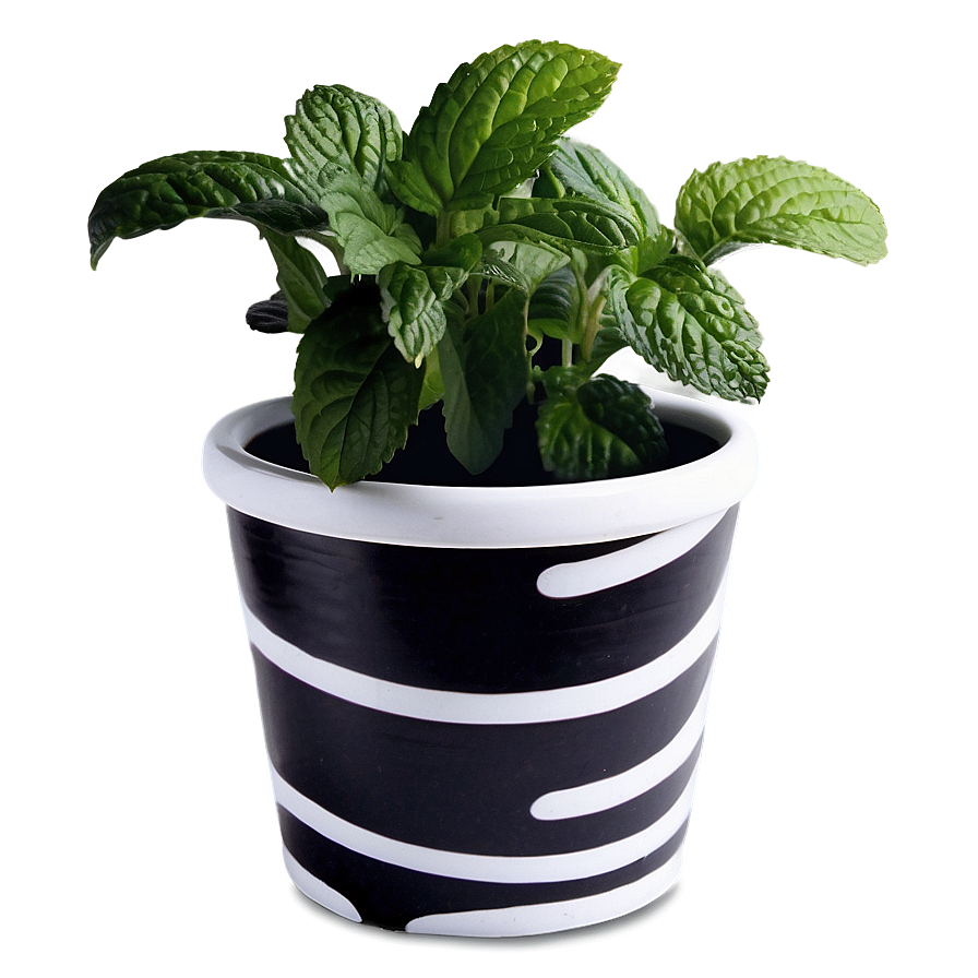 Peppermint Plant Pot Png Ypf